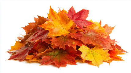 a pile of colorful autumn leaves isolated on a white background,