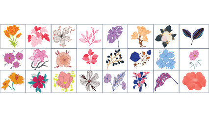 Collection of diverse and colorful floral illustrations with delicate outlines