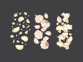 garlic cartoon aroma raw ingredient organic nature asian diet herb object seasoning plant background