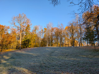 Frosty sunny morning in the autumn park
