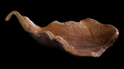 maple leaf and candle on black background