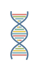Stylized double helix DNA strand with colorful base pairs.