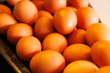 A collection of smooth brown eggs sits together on a tray, reflecting warm morning sunlight, waiting for breakfast.