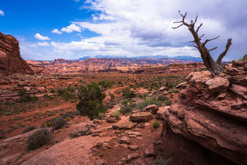 hiking the pothole arch trail near moab in utah, usa