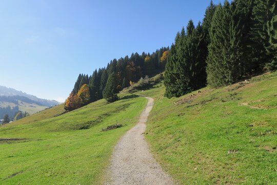 Der Wanderweg von der Bergstation der Imbergseilbahn zur Alpe Glutschwanden schl&auml;ngelt sich oberhalb des Tals am Imbergkamm entlang. Es ist ein sonniger Herbsttag in Oberstaufen in den Allg&auml;uer Alpen.