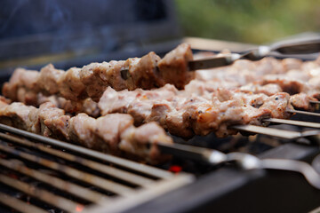 Succulent pieces of marinated meat sizzle on skewers over the grill, filling the air with mouthwatering aromas.