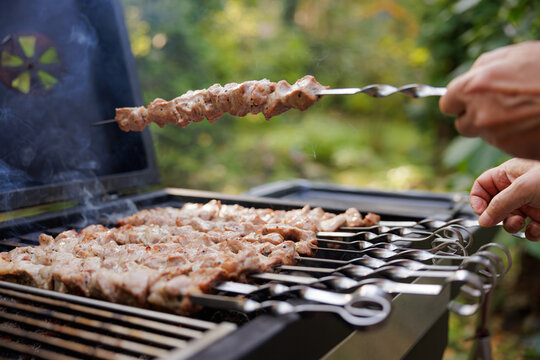 Tender pieces of meat marinate on skewers as they grill over hot coals in a green backyard filled with sunshine.