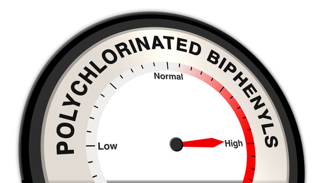 Polychlorinated biphenyls (PCBs) at high levels, displayed on a barometer or tachometer, indicating significant chemical contamination, highlighting environmental and health risks