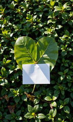minimalist leaf cradles paper note lush green background set soft natural light