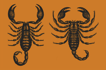 Retro Scorpion grunge halftone effect vector illustration. senek, lizard, collage element with vintage stippling photocopy effect.
