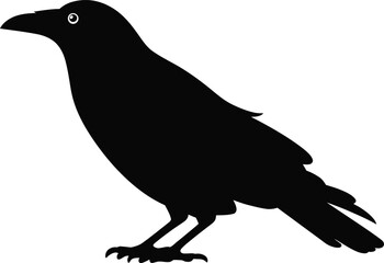 Set of black silhouette crow birds in various poses