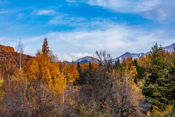 autumn colors in the mountains