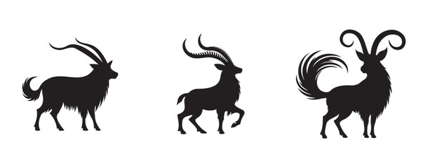 Set of three Saola silhouettes with long, straight horns and slender bodies, standing and walking in different poses. Vector illustration of the rare Asian mammal isolated on white background