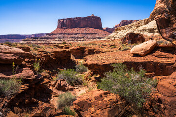 hiking the wilhite trail near moab in canyonlands island in the sky in utah, usa