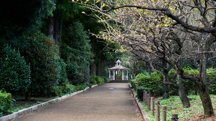 公園の歩道