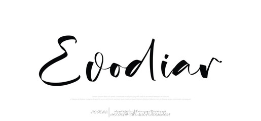 Modern signature script font. Elegant Signature Font. Best Alphabet Beautiful Calligraphy Signature Font lettering handwritten