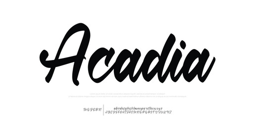  Hand drawn vector alphabet. Modern monoline signature script font. Elegant Signature Font. Best Alphabet Beautiful Calligraphy Signature Font