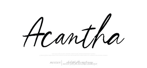 Lettering signature font style alphabet. Vector logo letters.