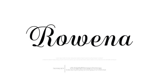  signature letters. Modern script calligraphy type. ABC typography latin signature alphabet.