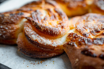 Freshly baked golden buns close-up. Homemade pastry with crispy crust and soft texture, delicious bakery concept.