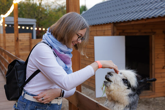 A woman gently pets a llama at a peaceful farm, with rustic wooden buildings and a soft evening glow.
