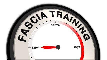 Fascia training at low intensity shown on a barometer or tachometer, reflecting light muscle engagement and flexibility work, focusing on gradual improvement and consistent monitoring