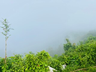 hills with beautiful clouds in the morning. Summer Mountain with green plants and clouds in the sky. wooden hut on Mountain. Texture of green tree forest view from above, Beautiful sunrise.