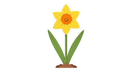 Vibrant Yellow Daffodil Flower with Green Stem and Leaves Illustration
