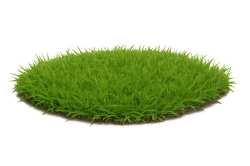 Green grass turf patch growing on brown soil ground, natural lawn top view, fresh healthy plant, isolated transparent background