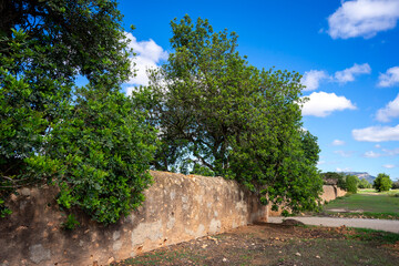 Mortar wall, earth and stones, Llucmajor, Mallorca, Balearic Islands, Spain