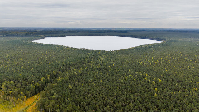 Alioniai swamp and Alys lake