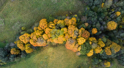 Buivydai mound near Karmazinai in autumn