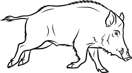 Line drawing of a wild boar, running on a white background