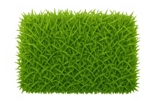 Green grass patch with fresh blades, creating a lush texture. Ideal for landscapes, nature, or ground elements, transparent background