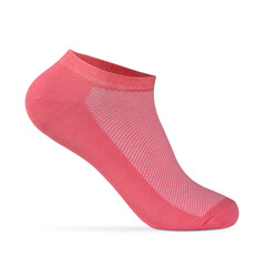 Catalog of socks for online store