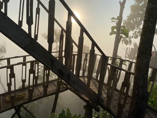 grassy mountain slope with a wooden fence, lit by morning sun. Tall evergreen overlooks hazy valleys. moody winter sunset over the Cotswold countryside. Sunlight on the morning with sea of fog.