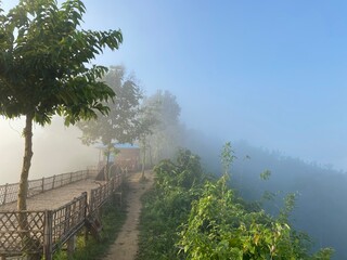 Rainforest ecosystem and healthy environment concept.hills with beautiful clouds in the morning. Summer Mountain with green plants and clouds in the sky. wooden hut on Mountain. Texture of green tree.