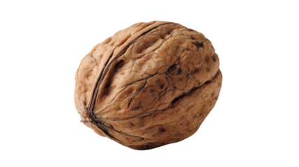 Brown walnut with a rough shell sitting on a white background displayed for culinary use and nutritional benefits Generative AI