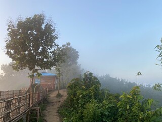 Rainforest ecosystem and healthy environment concept.hills with beautiful clouds in the morning. Summer Mountain with green plants and clouds in the sky. wooden hut on Mountain. Texture of green tree.