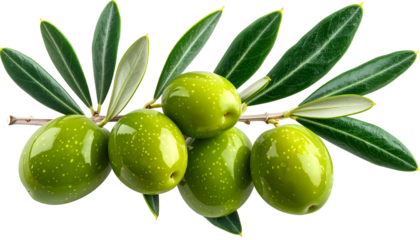 A vibrant sprig of green olives and leaves, artfully arranged against a black background