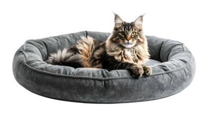 A fluffy, tabby cat relaxes inside a grey, cushioned pet bed