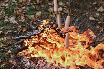 Flames rise as sausages cook on sticks above campfire, autumn leaves scattered on ground. Sausages roasting on open fire with bright flames and forest floor background, concept of camping meal.