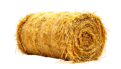 A tightly-bound cylindrical bale of golden hay, with visible straw and twine against a black backdrop