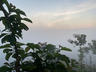 Rainforest ecosystem and healthy environment concept.hills with beautiful clouds in the morning. Summer Mountain with green plants and clouds in the sky. wooden hut on Mountain. Texture of green tree.