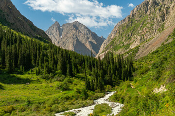 Fototapeta premium Towering rocky mountains rise above a vibrant green valley filled with dense pine trees and a winding river, inviting hikers and mountaineers to explore pristine wilderness and breathtaking scenery