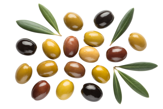 Smiling professional man working on laptop, glasses and casual shirt, modern remote work, happy and focused on technology.