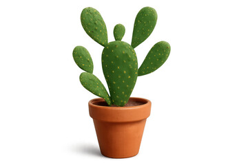 Prickly pear cactus in terracotta pot, isolated with transparent background, succulent plant for decoration
