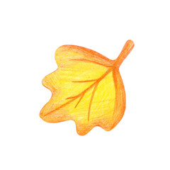 Fototapeta premium A lonely autumn leaf, drawn with pencils. Drawing with colored pencils. A falling maple leaf is isolated on a white background. A child's drawing. Clipart.