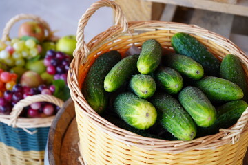 Fresh cucumber harvest in a beautiful wicker basket
A wicker basket filled with short-fruited fresh cucumbers stands against a fruit bowl.