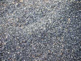 Heap of black oil sunflower seeds as background. Top view